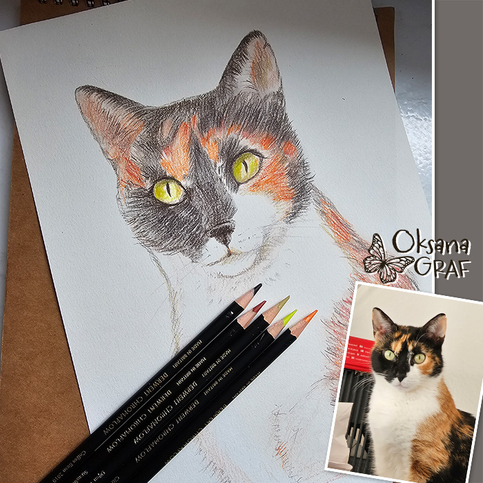 handgezeichnetes Porträt von Katze mit hochwertigen Buntstiften auf feinem Papier von Oksana Graf
